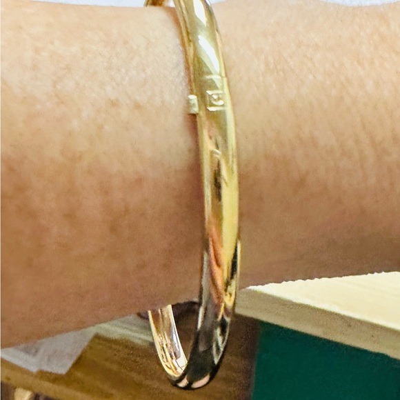 ENewton small narrow hinged bangle bracelet. Gold electroplated. Brand new - Picture 2 of 8